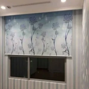 hình-rem-cuon-in-tranh