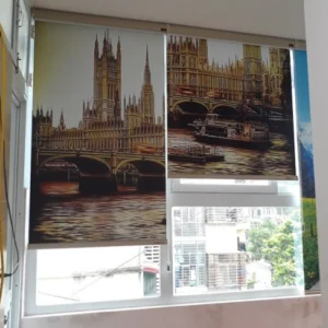 hình-rem-cuon-in-tranh