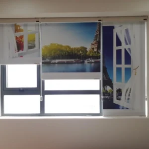 hình-rem-cuon-in-tranh