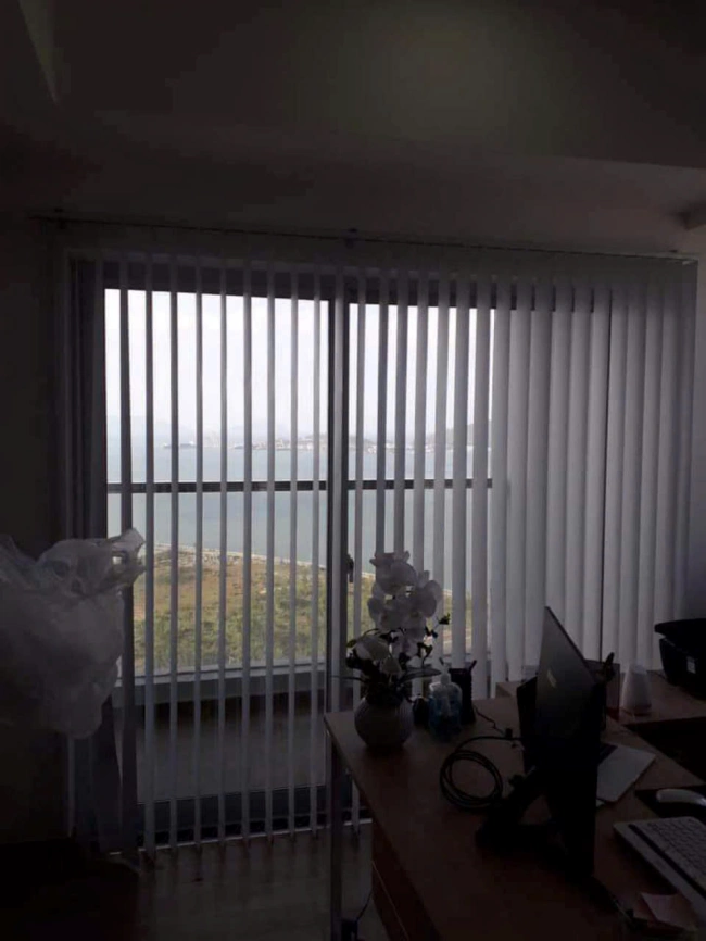 Mẫu rèm lá dọc đẹp mắt và tiện lợi - Ảnh 10